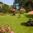 Lawn looking over meadfoot area