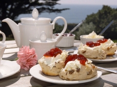 devon-cream-tea-hotel-balmoral