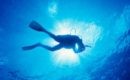 Diving in Torbay