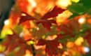 October Deals