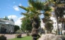 Torbay in September